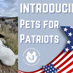 Launching a New Partnership w/ Pets for Patriots