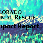 2024 C.A.R.E. Impact Report